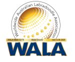 logo-wala2